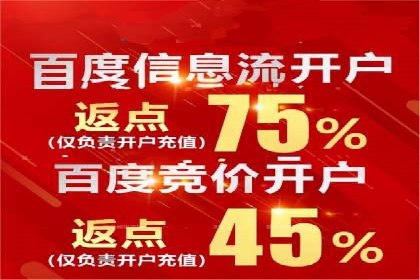 SEM推广优化策略：实战案例分析